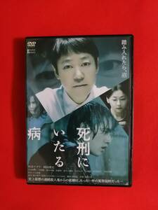 DVD『死刑にいたる病』 阿部サダヲ 岡田健史 岩田剛典 中山美穂