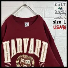 90s USA製 GALT SAND ハーバード大学 裏起毛 スウェット 古着