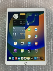 0925 美品 Apple IPad Pro 10.5インチ 64GB Wifi Cellularモデル