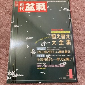 月刊　近代盆栽 特別拡大特集 永久保存決定版 植え替え大全集　1から学ぶ正しい植え替え　　APR.1988　4