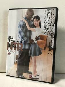 市川花音　黒人ホームステイNTR こじ開け拡張された極小の膣穴 ダスッ!　DVD セル品/正規品　スレンダー女優　即決/送料無料