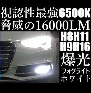 LED フォグランプ 6500K ホワイト H8 H11 H16 フォグライト