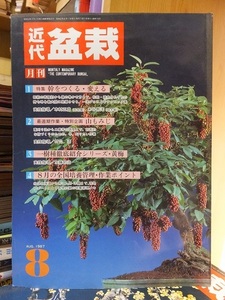 近代盆栽　　　　　　１９８７年８月号　　　　　　　　　近代出版