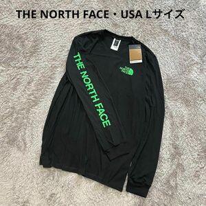 USA 日本未発売 LTHE NORTH FACEノースフェイス新品 ヒットグラフィック Tシャツ 黒ブラック ロンT デカロゴ 未入荷 海外限定