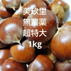 ⑭ 美玖里 無農薬 生栗 超特大 1kg