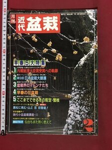 ｍ※　月刊　近代　盆栽　1990.2　内閣総理大臣受賞への軌跡　第9回　日本盆栽大観展　盆栽界のマドンナたち　　/I122