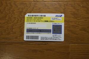 即日対応！番号通知のみ！ANA 株主優待券　有効期限2024年11月30日