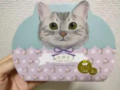 ねこバスソルト2P ありがとう　入浴剤