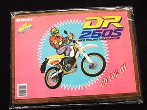 スズキ　ＤＲ２５０Ｓ　１９９０年頃？　カタログ美美品・送料込み！