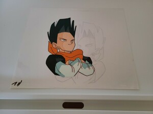 DRAGON BALL　17号　セル画　直筆動画付き　検　ドラゴンボール　鳥山明