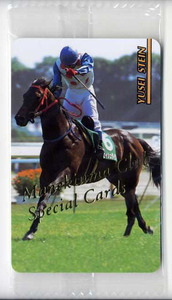 ★まねき馬カード SP 647番 ユーセイシュタイン スペシャルカード 未開封 写真 画像 競馬カード 即決