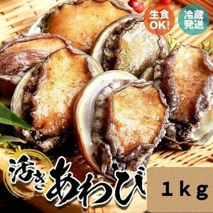 活き蝦夷あわび　120/130 1kg 約8枚　送料無料!!