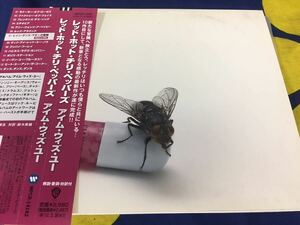 Red Hot Chili Peppers★中古CD国内紙ジャケ盤帯付「レッド・ホット・チリ・ペッパーズ～アイム・ウイズ・ユー」