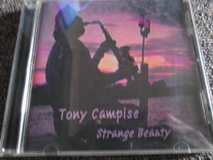 【送料無料】中古CD ★Tony Campise/Strange Beauty ☆トニー・カンピス HEART MUSIC 011