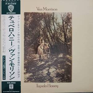 日本WARNERオリジLP帯付き 初版 緑ラベル Van Morrison / Tupelo Honey 1971年 P-8179W ヴァン・モリソン テュペロ・ハニー OBI