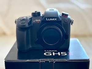 DC-GH5M2 パナソニック LUMIX デジタル一眼カメラ Panasonic【送料無料】