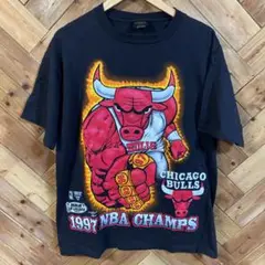 VINTAGE CHICAGO BULLS CHAMPIONS T-SHIRT