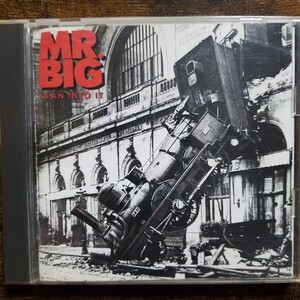 【国内盤CD帯無し】MR. BIG　リーン・イントゥ・イット　 MR BIG　LEAN INTO IT　1993年国内再発版　管理番号J