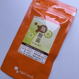 酪酸菌（約3ヶ月分） サプリメント ダイエット 悪玉菌 善玉菌 乳酸菌 ビフィズス菌 乳酸菌 オーガランド、