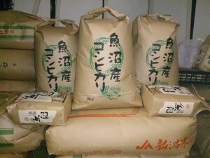 南魚沼産コシヒカリしおざわ西山地区　令和6年産　精米18kg