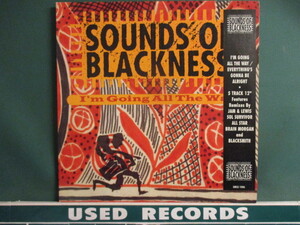 Sounds Of Blackness ： I