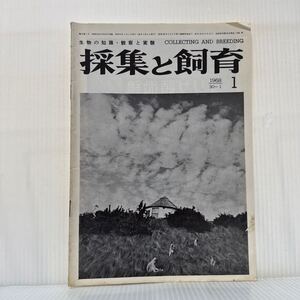 採集と飼育 1968年1月号★日本モンキーセンター内パタス草原とパタスサル/福井県敦賀半島で捕獲されたタイマイ/生物の知識・観察と実験