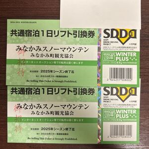 みなかみ町スキー場(水上高原、奥利根、ほうだいぎ、ホワイトバレー、その他)