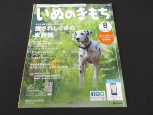 本 No1 02502 いぬのきもち 2015年8月号 癒されしぐさの単語帳 華原朋美 愛犬の健康・長生きにいいしつけ 夏になりやすい病気 犬の事件簿