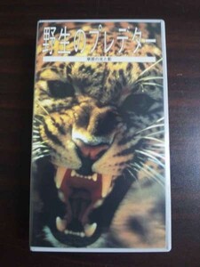 【VHS】 野生のプレデター 草原の光と影 日本語吹替版