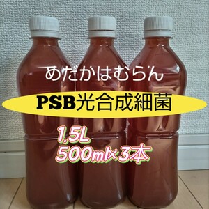 【1500ml】光合成細菌PSB【めだか_はむらん】psb メダカ 水質浄化　農業　土壌改良　うどんこ病防止　無農薬　