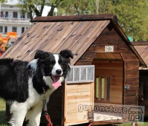 外飼い屋外ハウス お庭用 天然木木製 犬小屋 ペットハウス ドッグ 犬舎 三角屋根 脚付き 中型犬 高床式設計 L