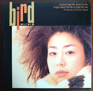 AIJT 5047/1999年/満ちてゆく唇(12)/bird-バード