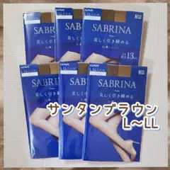 【SABRINA Shape】サンタンブラウン ストッキング L～LL 6足