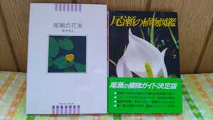 中古 本 古書 尾瀬の花束 レターブックス 1995年 初版 尾瀬の植物図鑑 植物ガイド 新井幸人 里見哲夫 1995年 16刷 写真集 はがき ハガキ