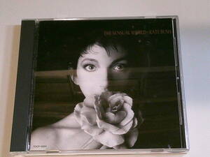 ★☆★　THE SENSUAL WORLD-KATE BUSH　★☆★