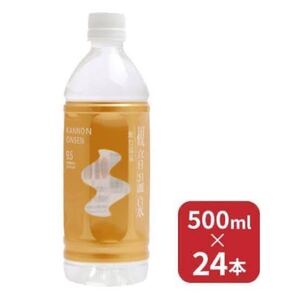 観音温泉水　500ml × 24本（1ケース） / 飲む温泉 / ミネラルウォーター　賞味期限2027.01