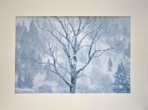 文化勲章受章日本画作家　　東山魁夷　　複製画　「雪月花　山峡飛雪」額付き【正光画廊・5000点出品中！お好みの作品が見つかります