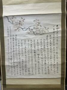 模写　帆足杏雨 桜 掛軸 江戸後期-明治 田能村田,浦上春琴に師事