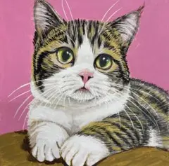 猫の絵　アクリル画no.54  キジシロ　ミニ絵画