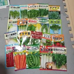 多様な野菜の種子セット 今日限定!