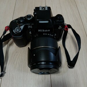 Nikon F4 TAMRON AF ASPHERICAL LD (IF) 28-300mm 1:3.5-6.3 MACRO