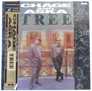 LD CHAGE AND ASKA チャゲ & 飛鳥 TREE PCLP-00230 帯付