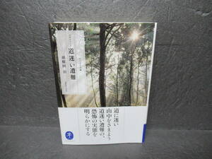 ドキュメント 道迷い遭難 (ヤマケイ文庫) / 羽根田 治　　11/19526