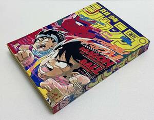 週刊少年ジャンプ ドラゴンボール DRAGON BALL 表紙＆巻頭カラー掲載号 1989年 28号 孫悟空 孫悟飯 ベジータ