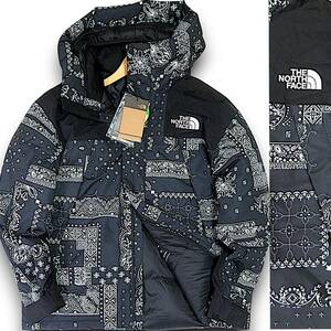 新品◆THE NORTH FACE◆防水 DRYVENT ペイズリー ノベルティ アルティメット RDSグースダウン ジャケット L 黒◆ノースフェイス◆J2820