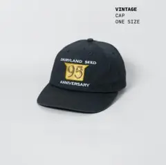 【USA製】Dairyland Seed キャップ ヴィンテージ Vintage