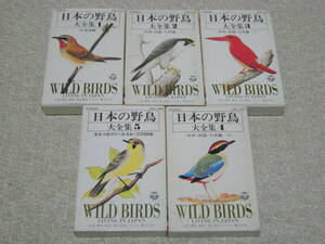 【カセットテープ】 「日本の野鳥 大全集」 全5巻セット 地域別 解説付き