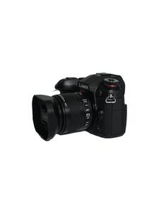 Panasonic◆デジタル一眼カメラ LUMIX DC-G9L 標準ズームライカDGレンズキット