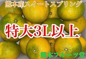 味に当たりハズレなし！見た目を裏切る美味しさ【熊本産スイートスプリング】3Lサイズ約5kご家庭用　熊本フルーツ堂57