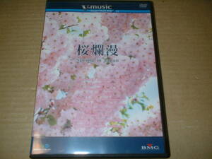 【国内ＢＧＶ-ＤＶＤ】桜爛漫　～Spring in Japan～　桜の映像集　（０７年作！送料込！４４分！嵐山・嵯峨野・醍醐寺、吉野山、千鳥ヶ淵